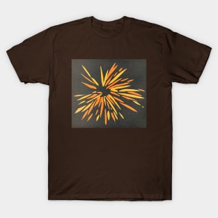 Metaphysical Thought Form of Anger T-Shirt